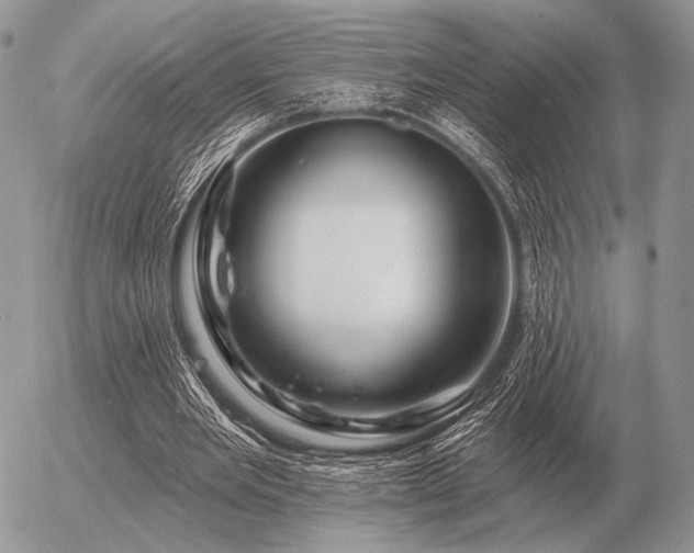 X0000056370485200508261407