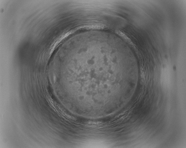 X0000056370487200508261407