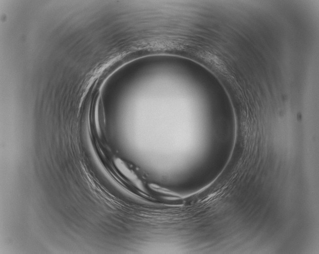 X0000056370488200508261407