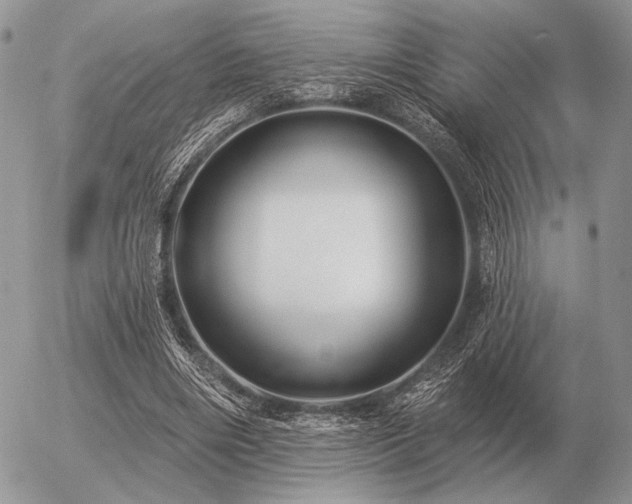 X0000056370490200508261407