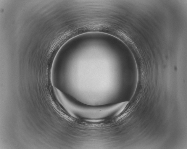 X0000056370493200508261407