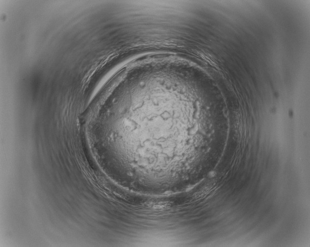 X0000056370495200508261407