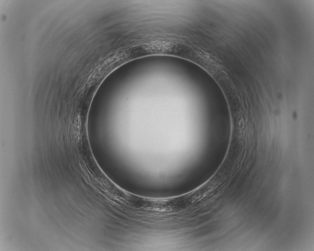 X0000056370498200508261407