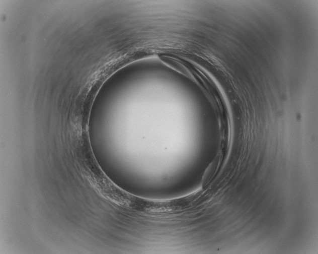 X0000056370500200508261407