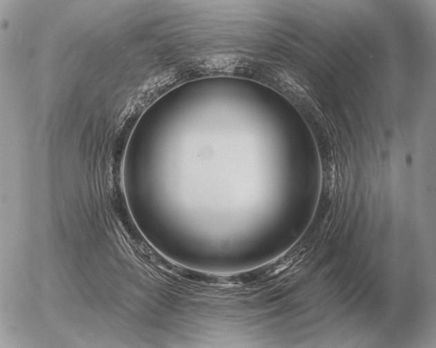 X0000056370504200508261406