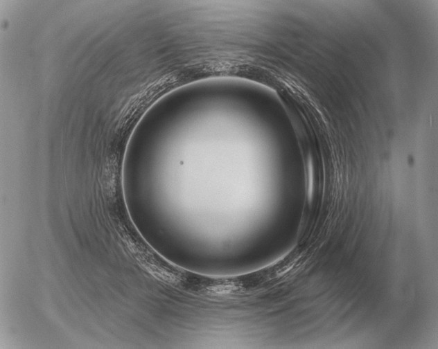 X0000056370505200508261406