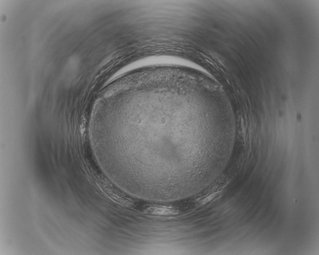 X0000056370507200508261406