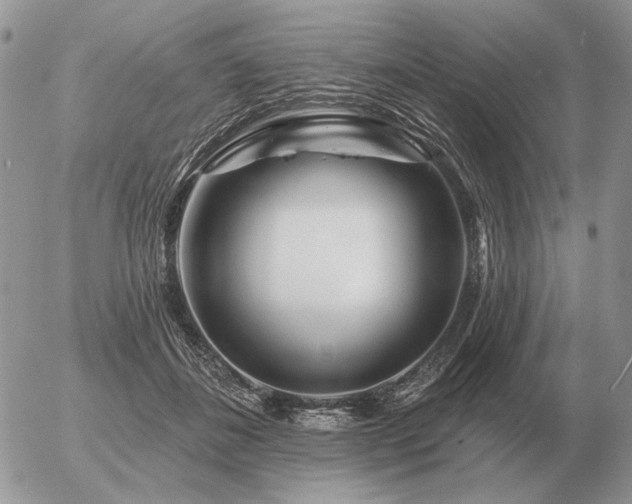 X0000056370508200508261406