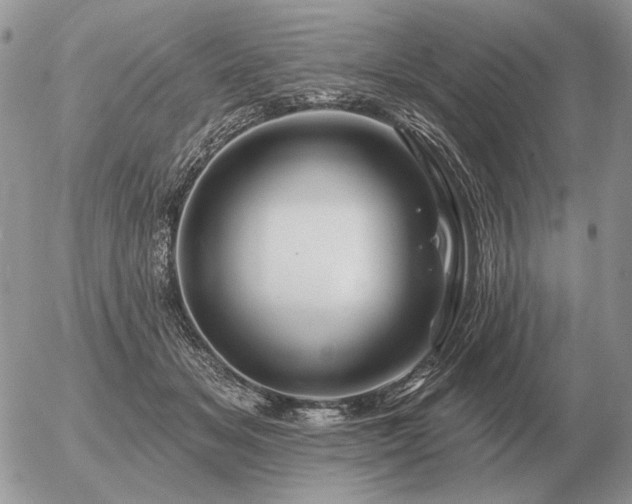 X0000056370509200508261406