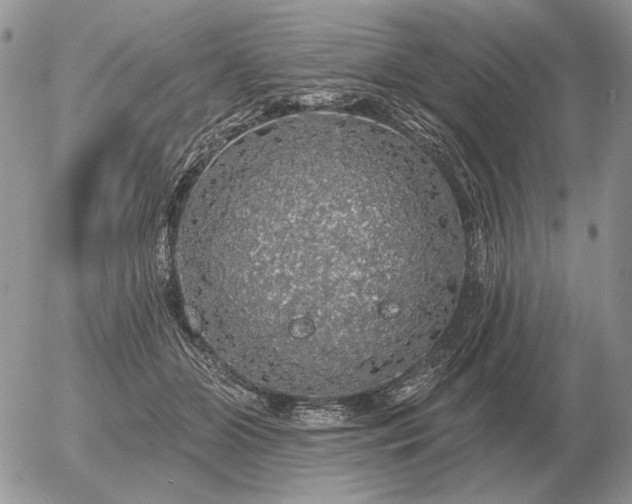 X0000056370510200508261406