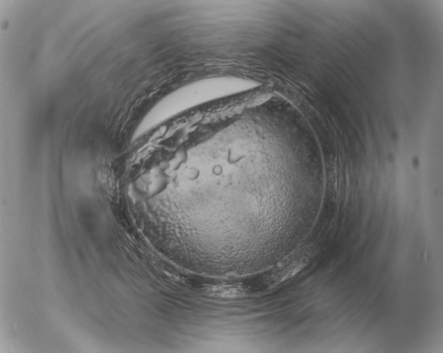 X0000056370511200508261406