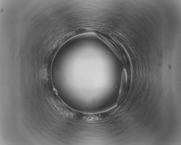 X0000056370512200508261406