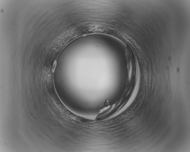 X0000056370513200508261406