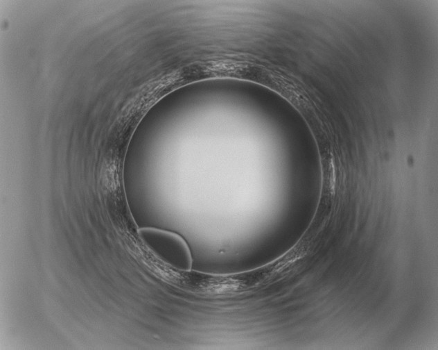 X0000056370514200508261406