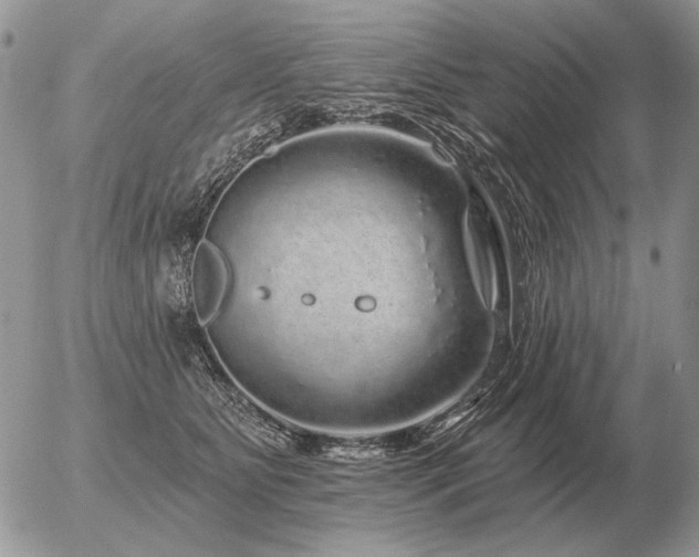 X0000056370515200508261406