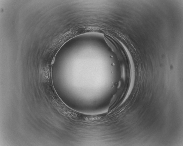 X0000056370517200508261406