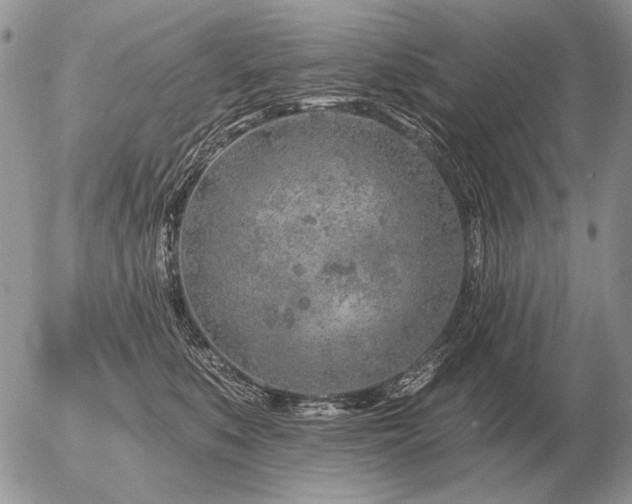 X0000056370519200508261406