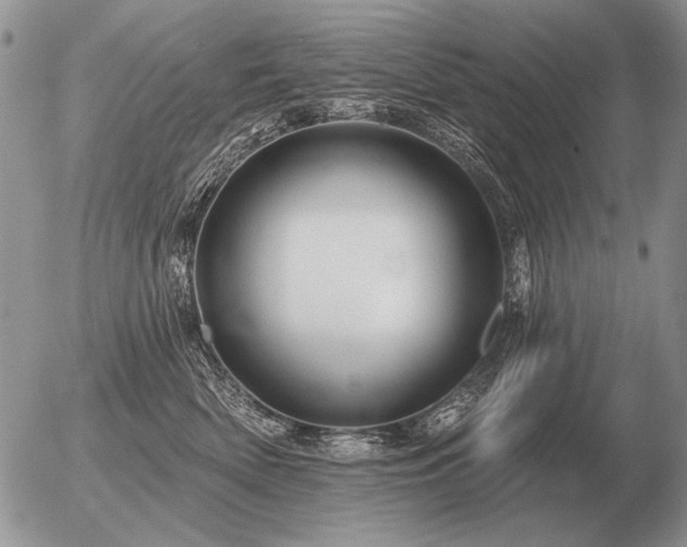 X0000056370522200508261406