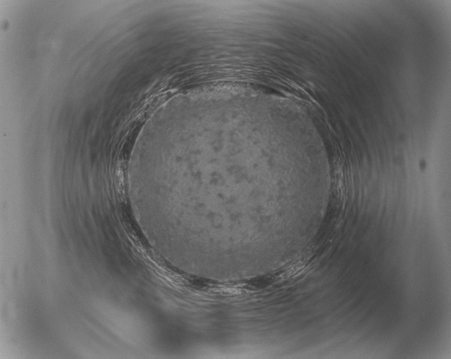 X0000056370523200508261406