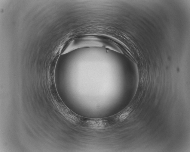 X0000056370524200508261406