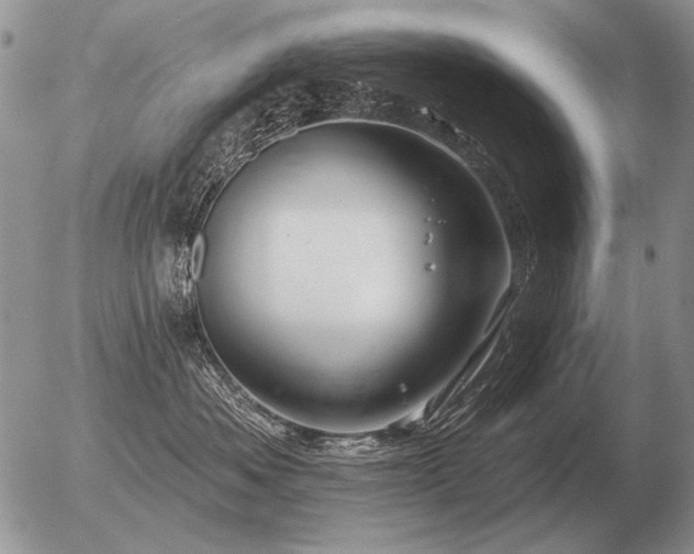 X0000056370525200508261406