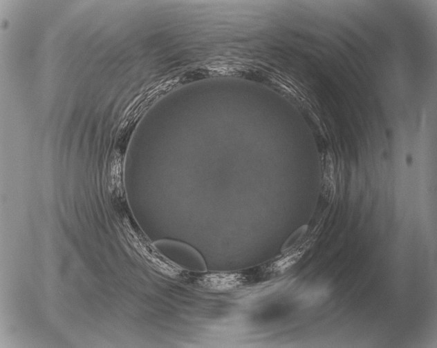 X0000056370526200508261406