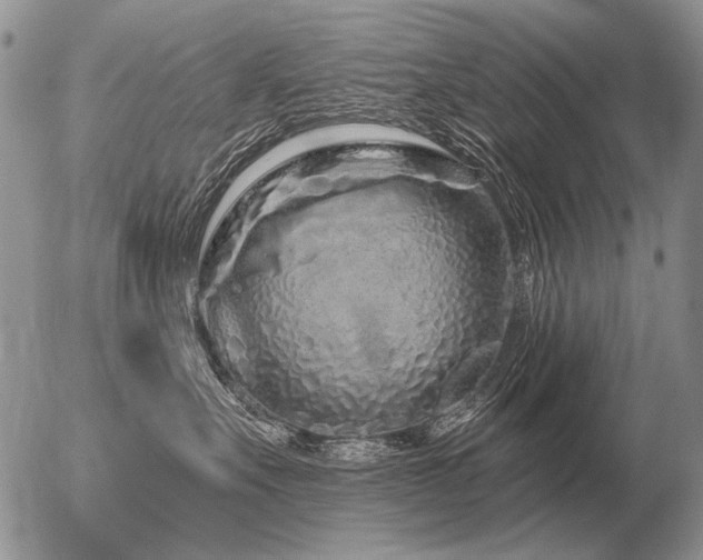 X0000056370527200508261406