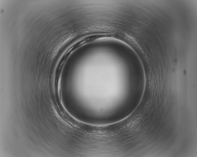 X0000056370538200508261405