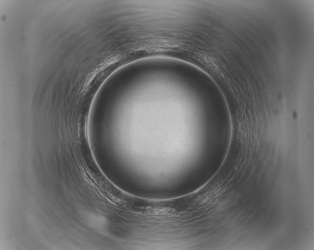 X0000056370539200508261405