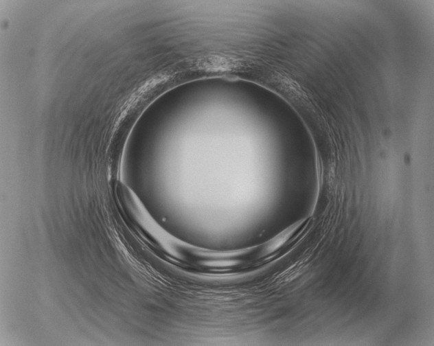 X0000056370540200508261405