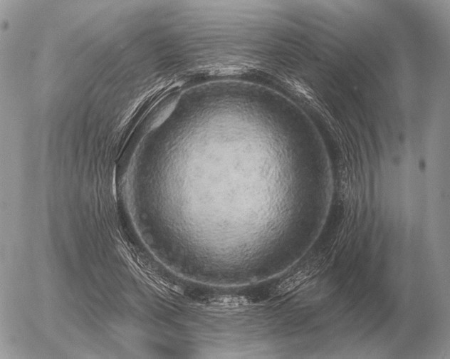 X0000056370543200508261405