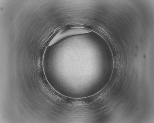 X0000056370549200508261405