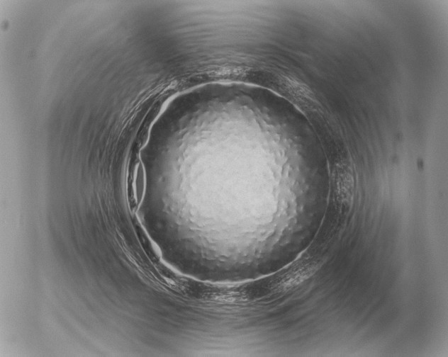 X0000056370550200508261405