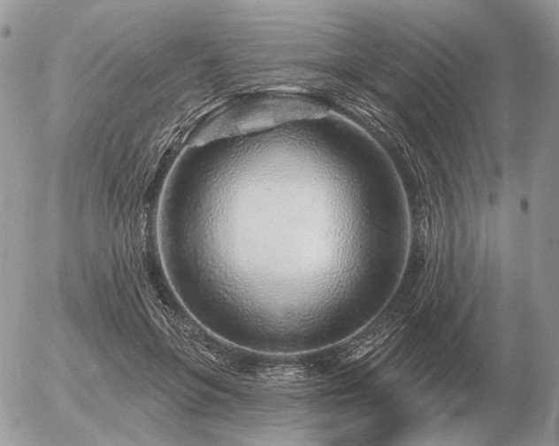 X0000056370551200508261406