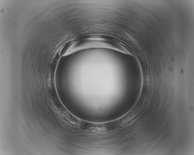 X0000056370552200508261406