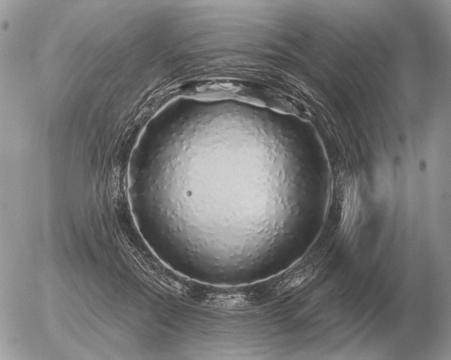 X0000056370554200508261406