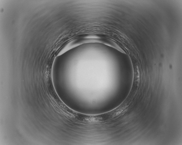 X0000056370558200508261406