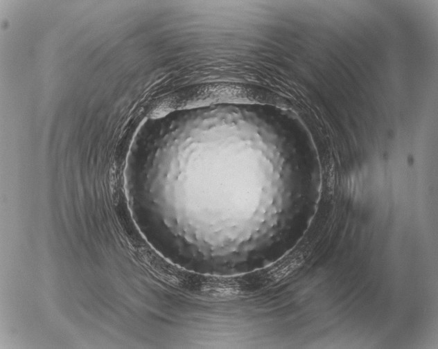 X0000056370559200508261406