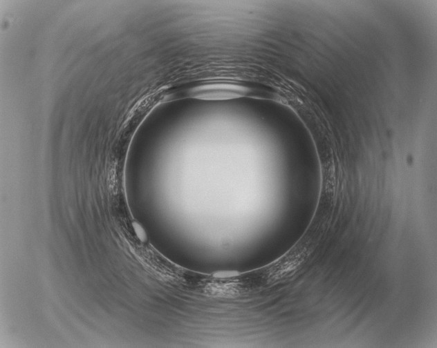 X0000056370560200508261406