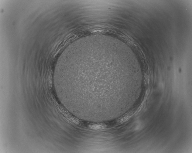 X0000056370561200508261406