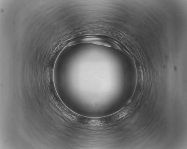 X0000056370562200508261406