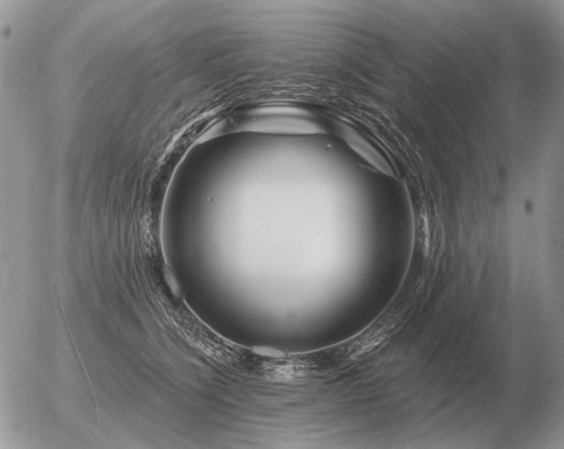 X0000056370564200508261406