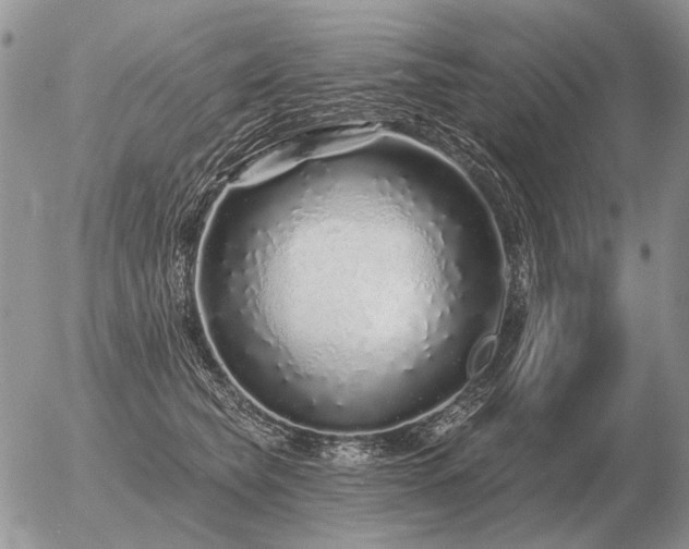 X0000056370565200508261406