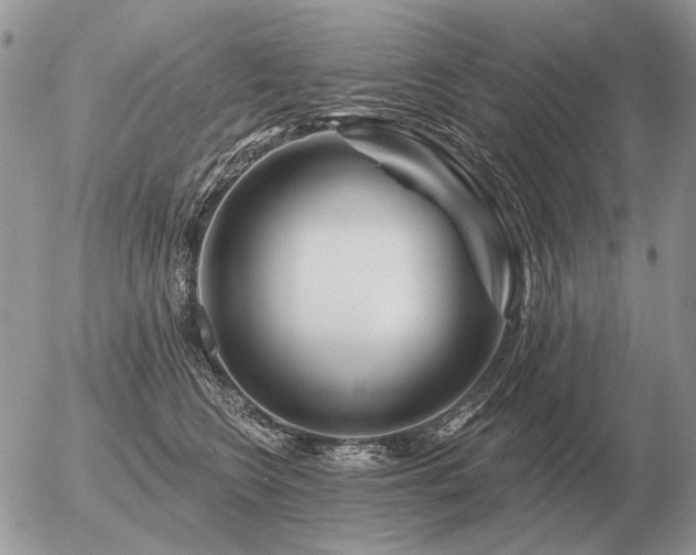 X0000056370566200508261406