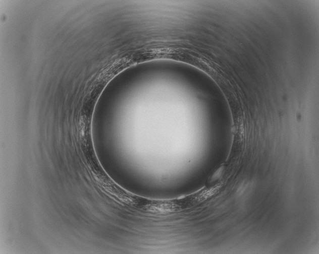 X0000056370567200508261406