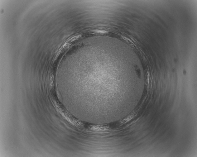 X0000056370568200508261406