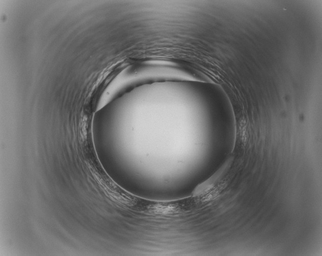 X0000056370570200508261406