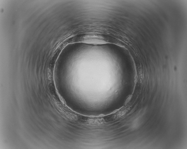 X0000056370571200508261406