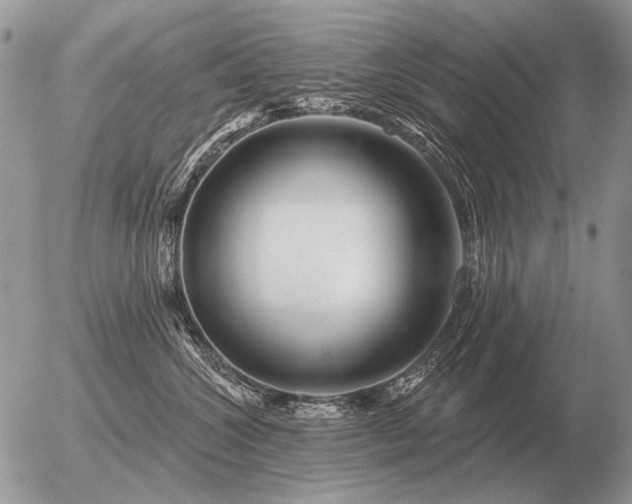 X0000056370572200508261406