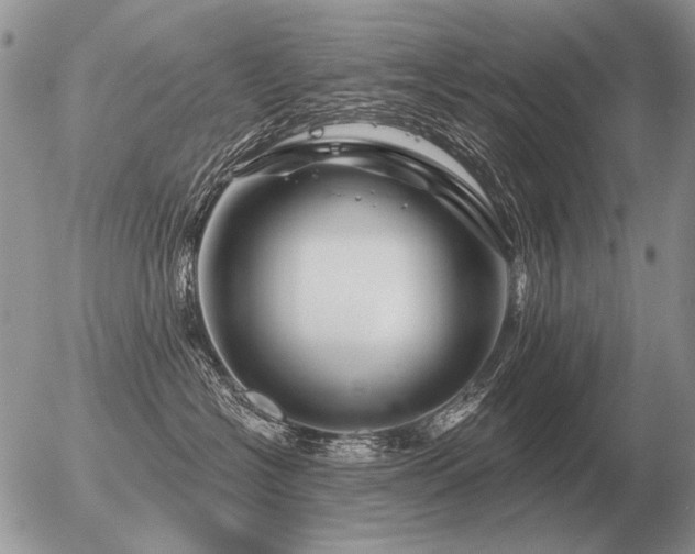 X0000056370574200508261406